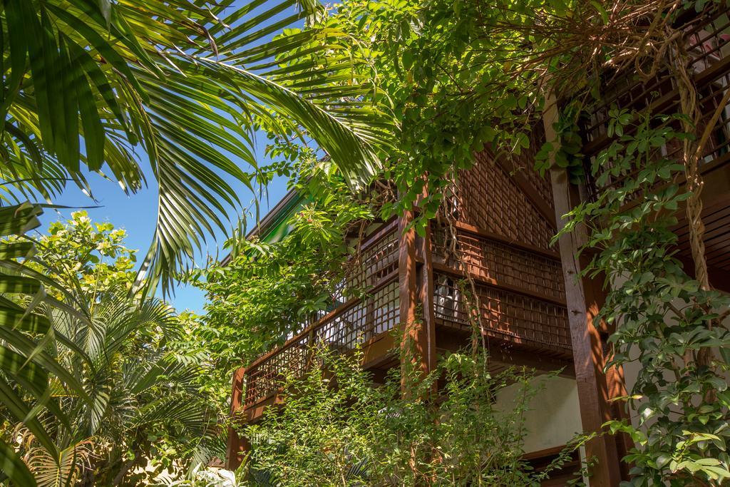 Casa - Com Cozinha E Casa Com Piscina Apartamento *